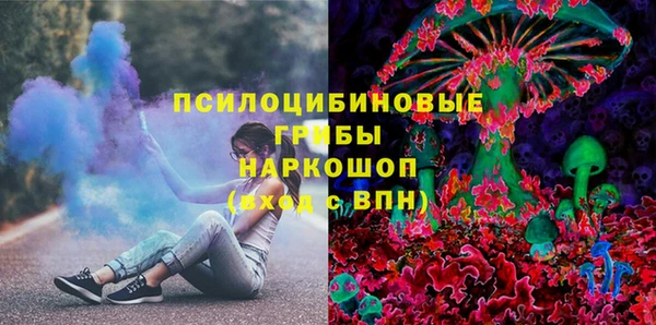 дживик Карпинск