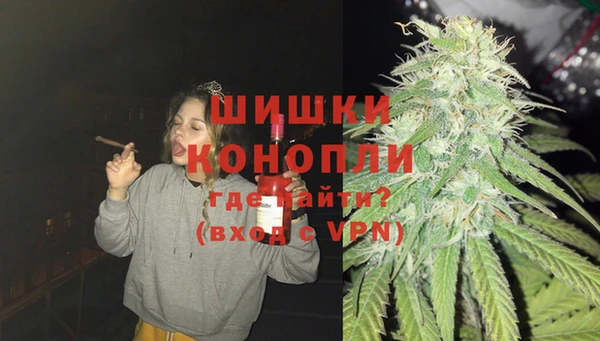 дживик Карпинск